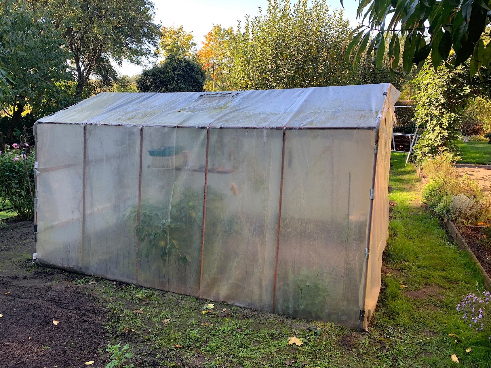 Gewächshaus Marke "Eigenbau"