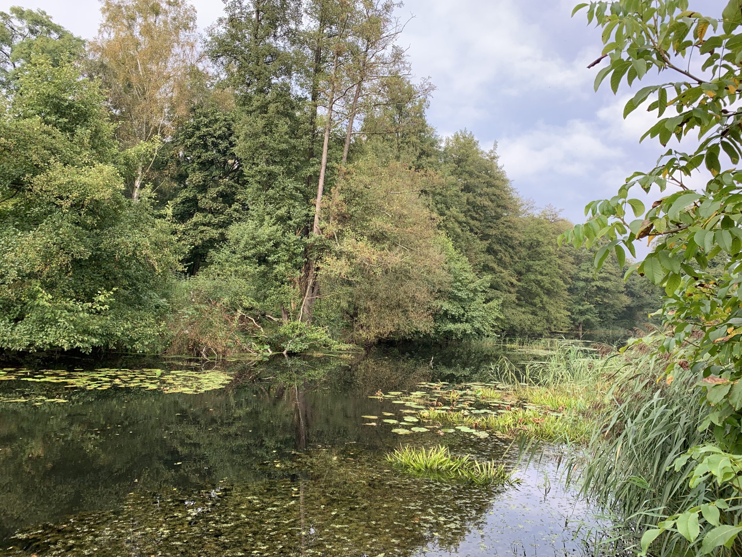 "Durchstich" mit Blick Richtung Mäckersee