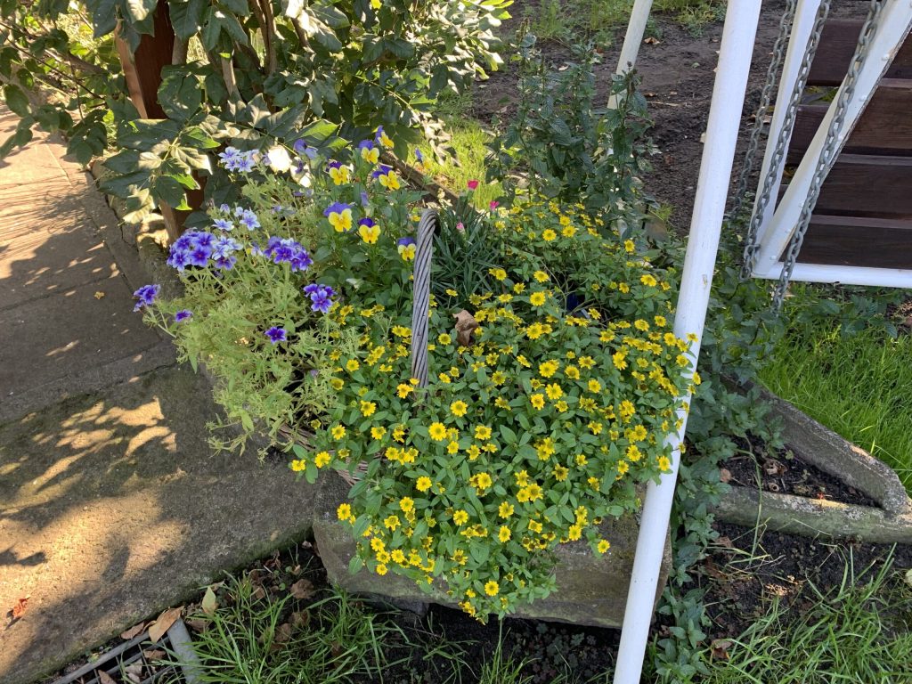 Mit Blumen bepflanzter Bastkorb