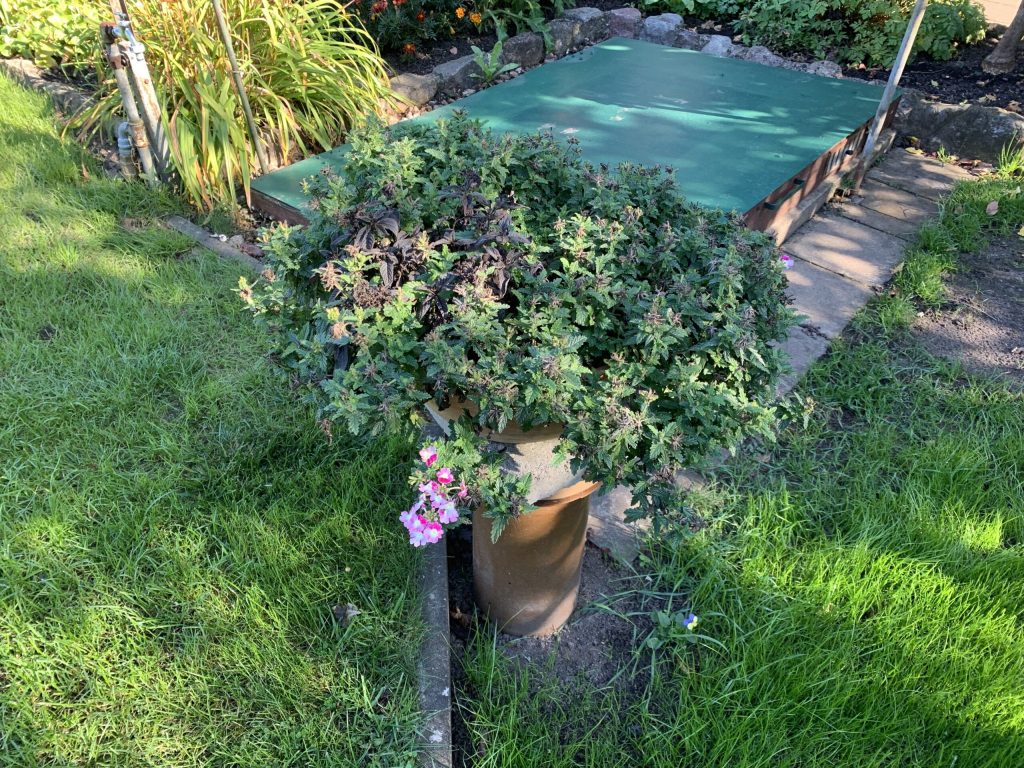 Ein in den Boden eingelassenes Rohr, auf welchem ein Pflanztopf platziert wurde