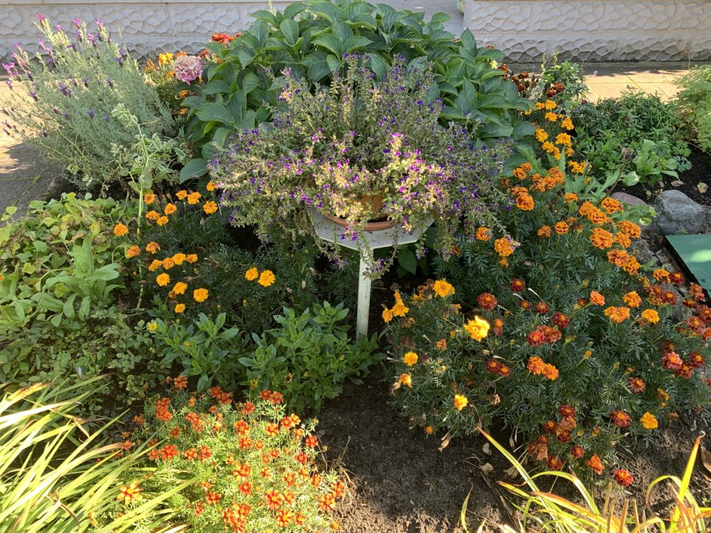 Mit Pflanzplattformen lässt sich ein mehrstufiges Blumenparadies gestalten