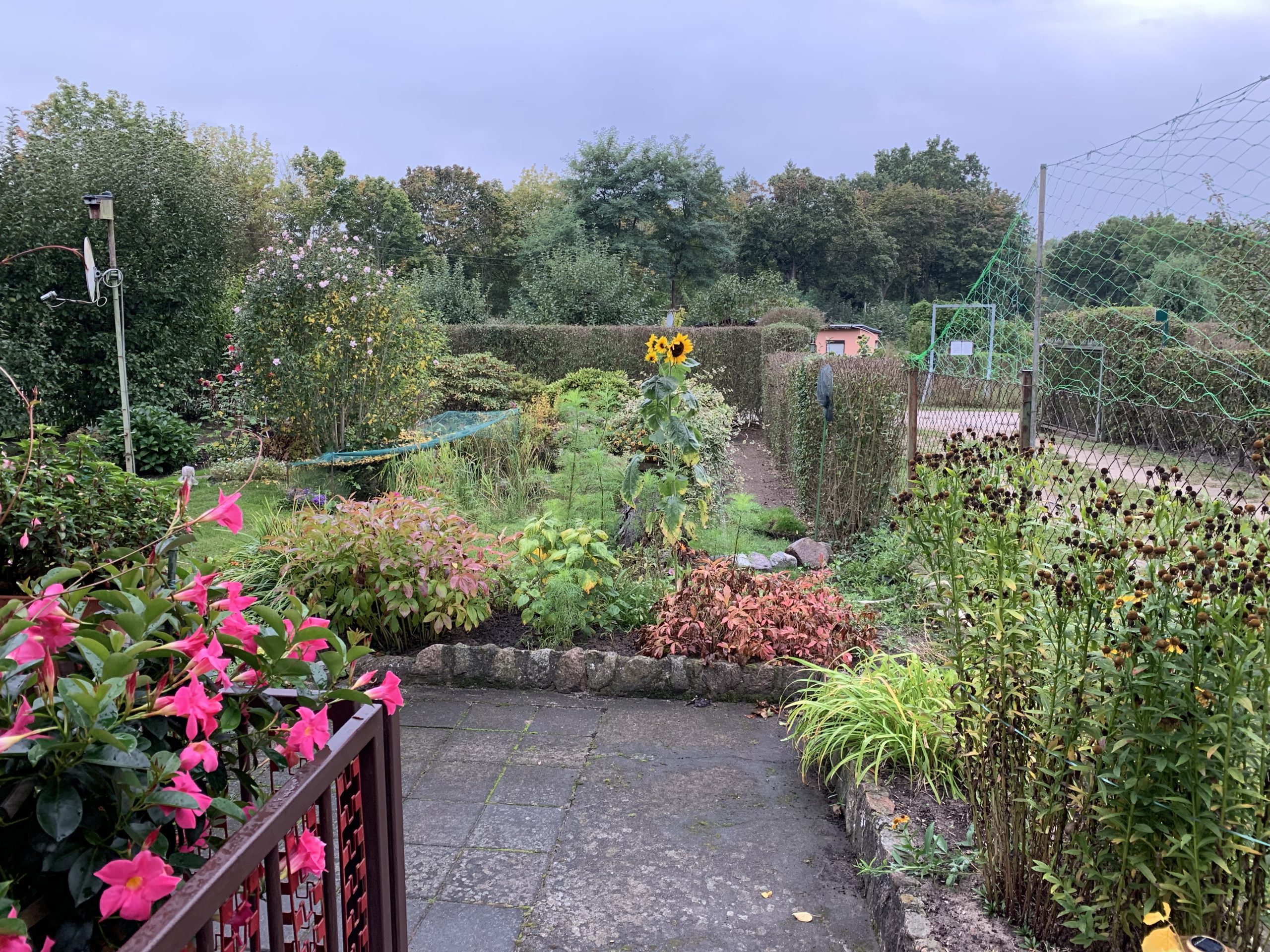 Gartenbereich vor der Umgestaltung