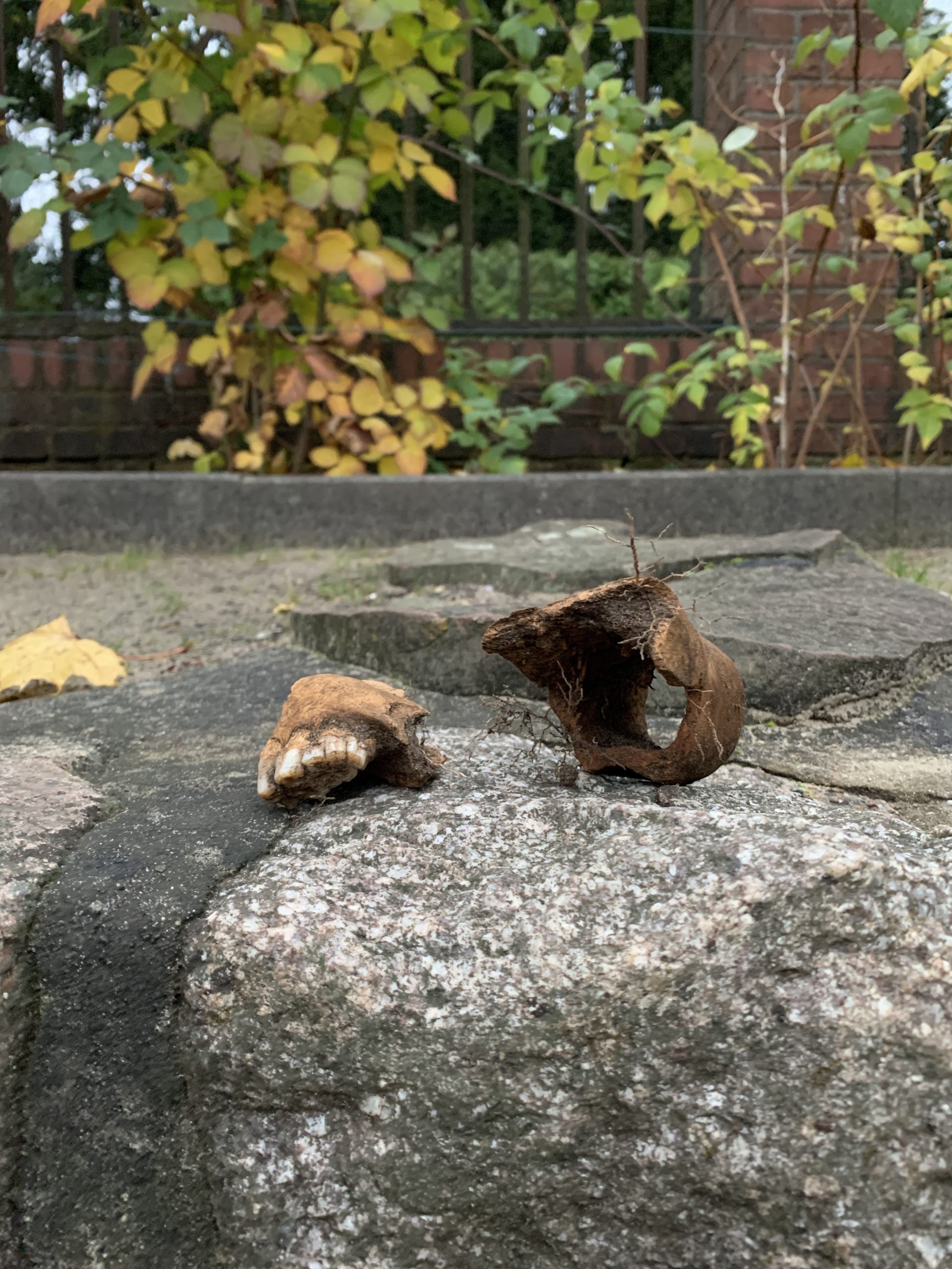 Unheimliche Fundstücke