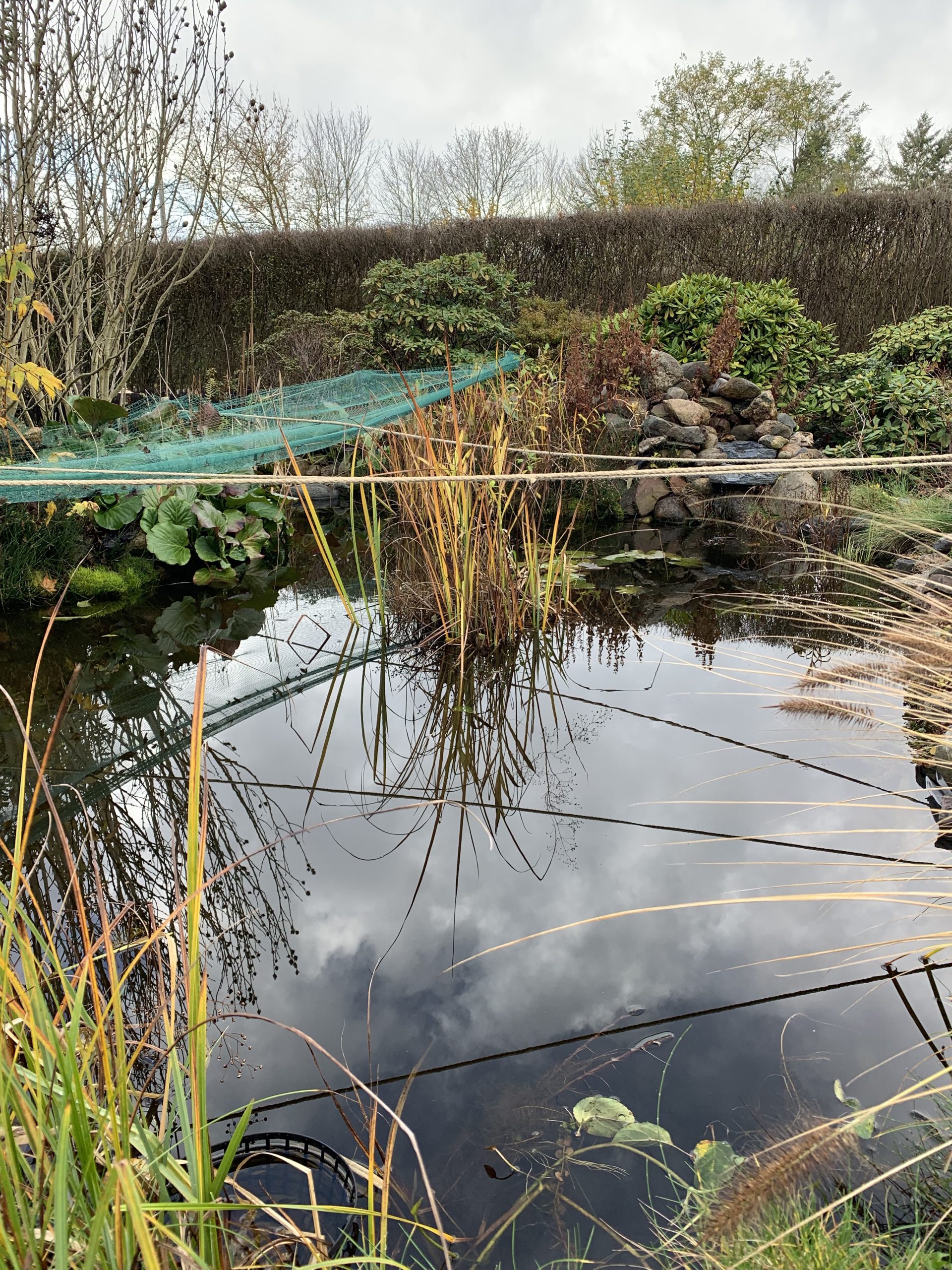 Ein altes Bild vom Gartenteich aus dem vergangenen Jahr (November 2021)