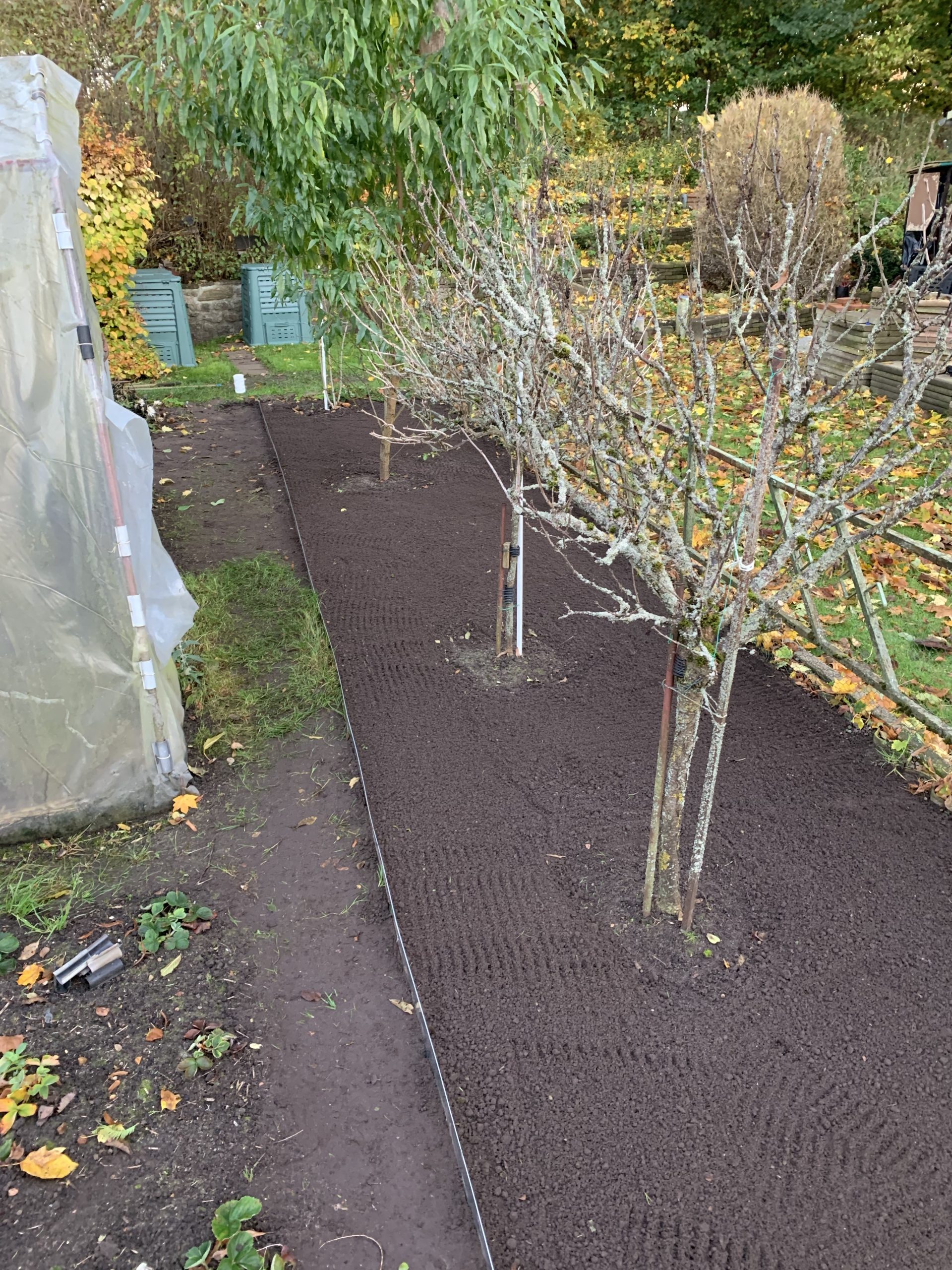 Bereinigtes Beet an der Grenze zum Nachbargrundstück