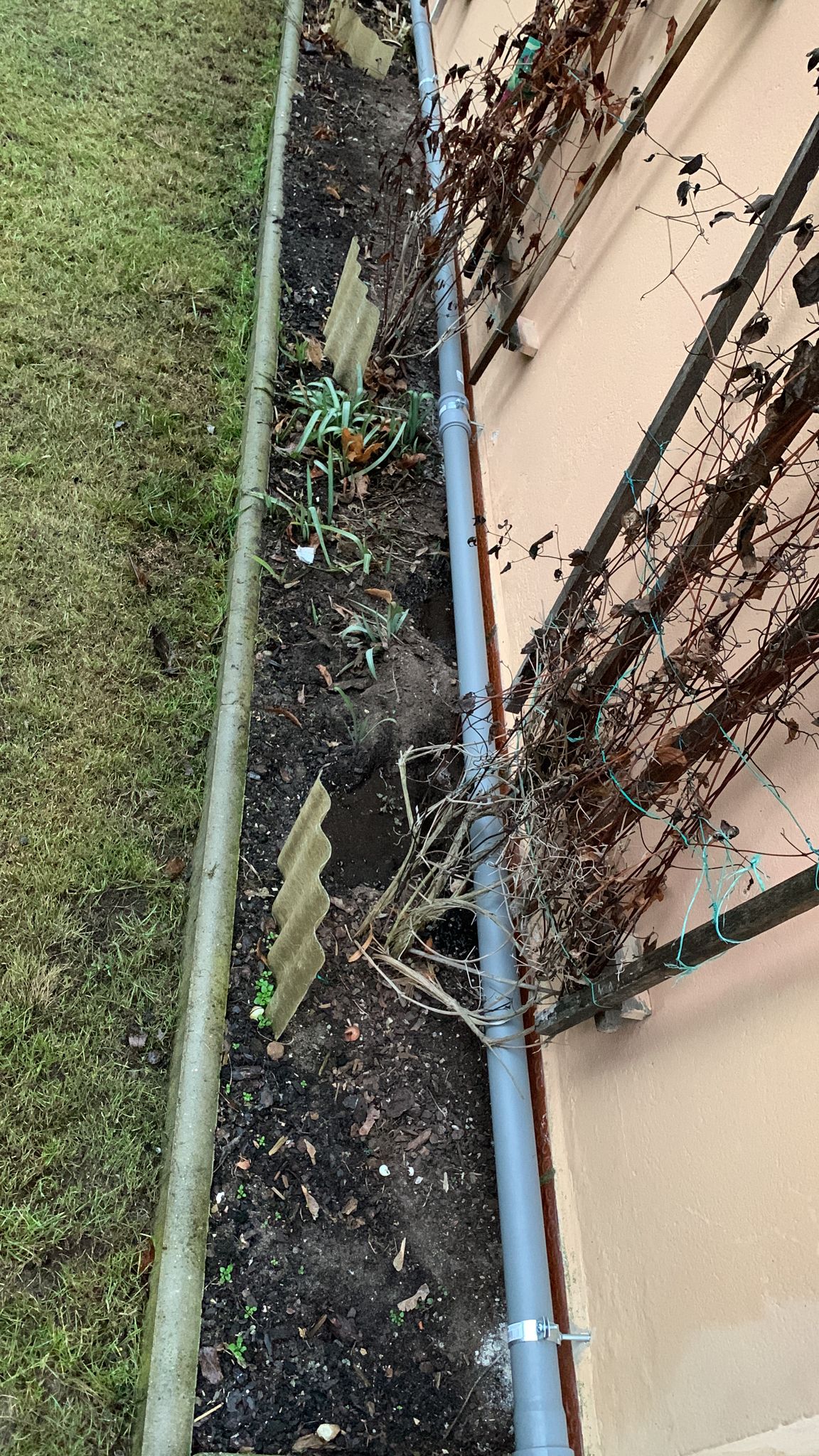 Bewässerung in Aktion