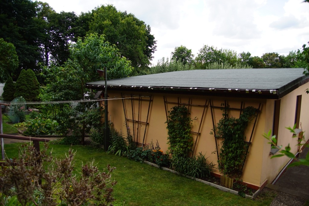 Meist sehr trockene Rückseite des Gartenhäuschens