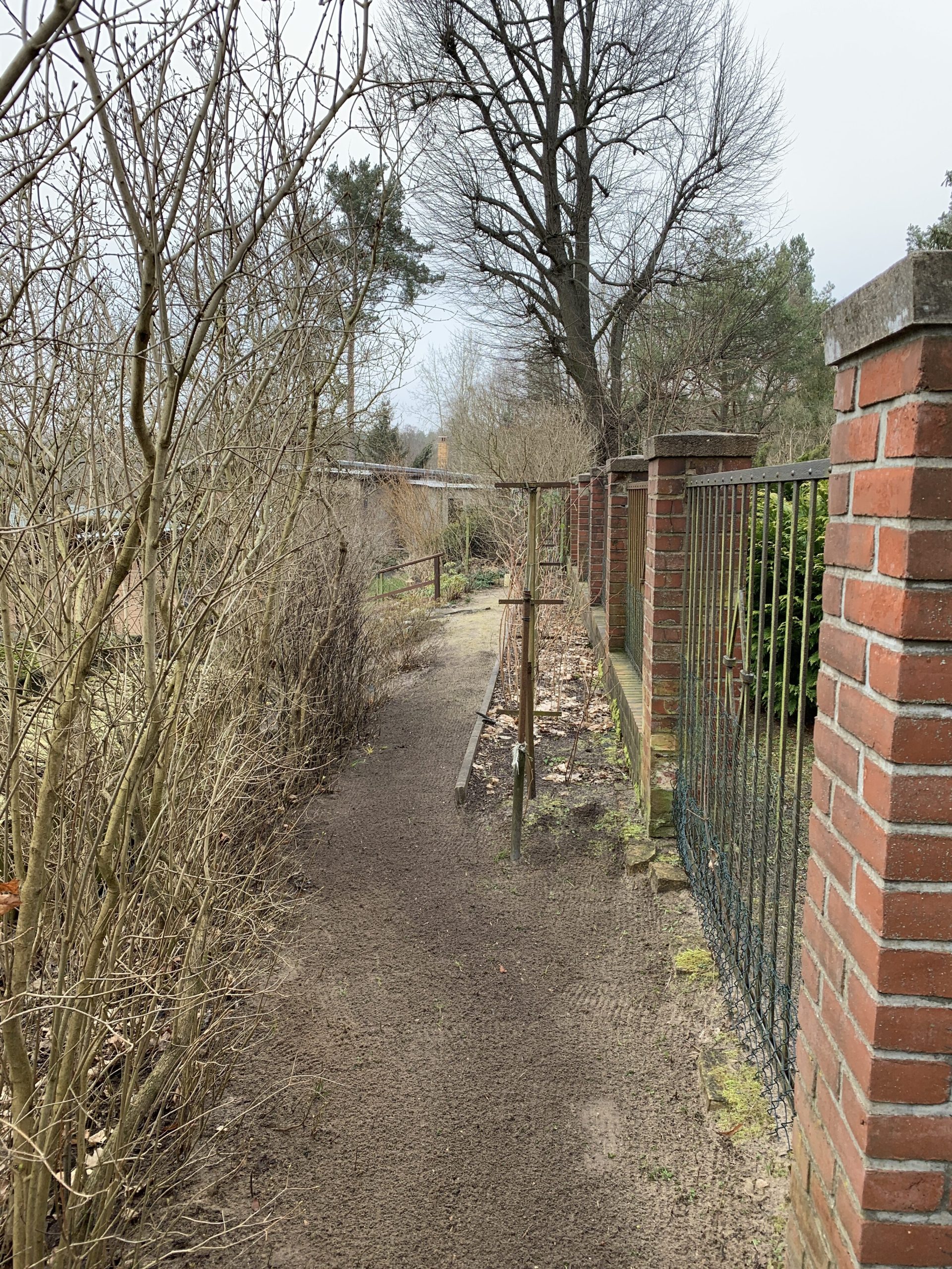 Auch im hinteren Bereich muss ein Garten vernünftig aussehen