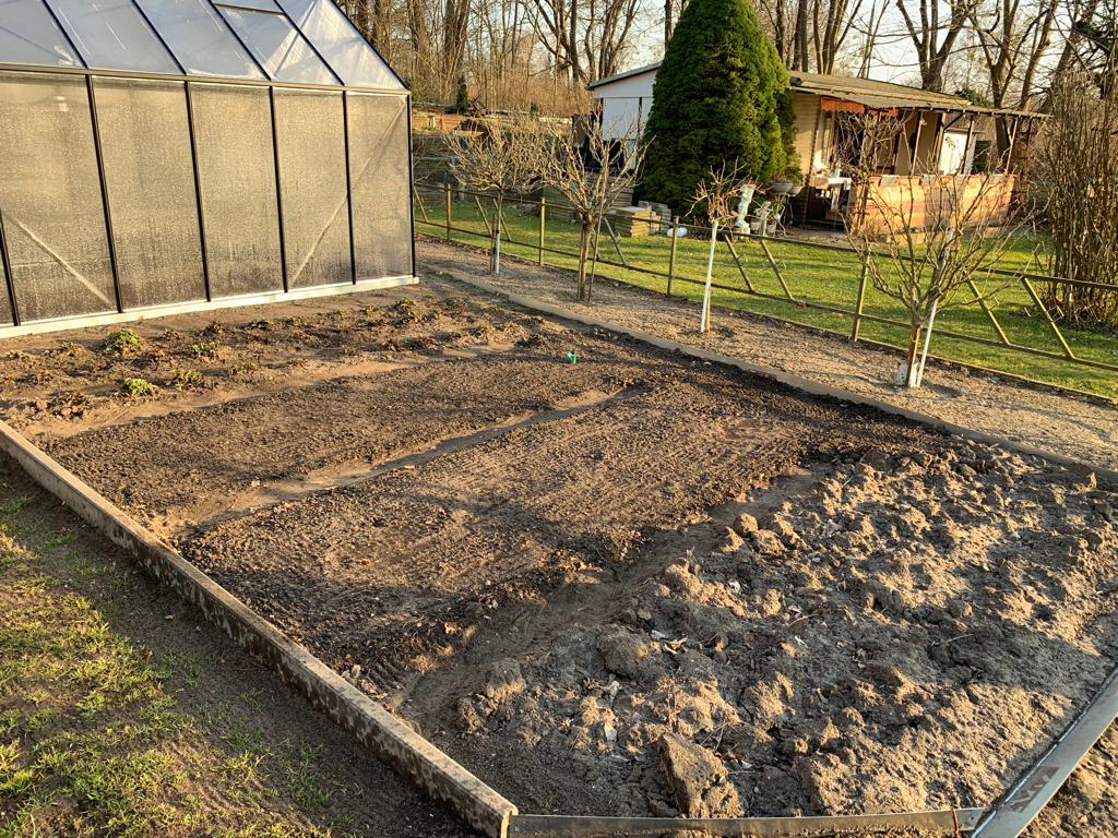 Drei von vier Beete sind jetzt im großen Gemüsegarten belegt.