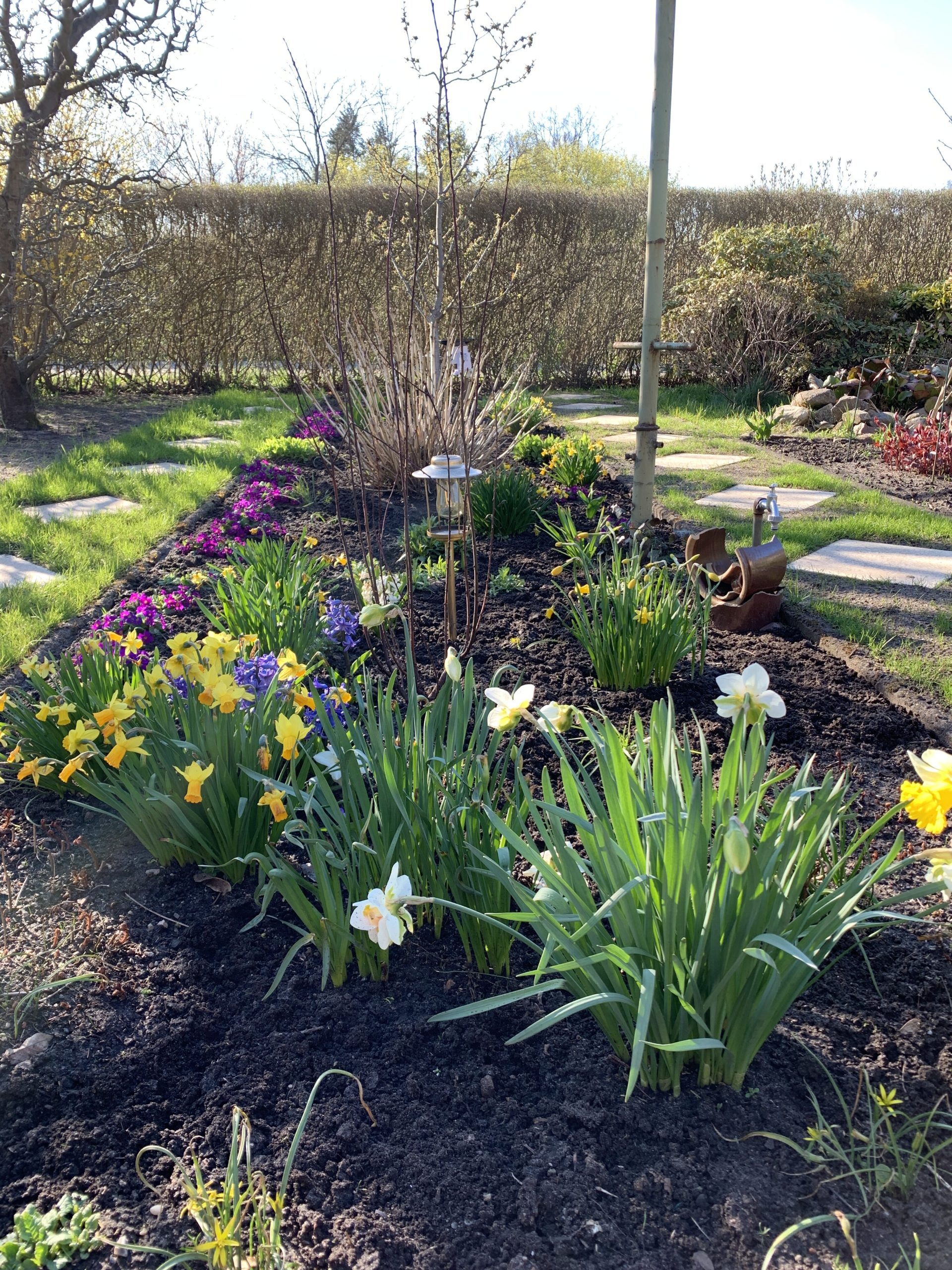 Vom Unkraut befreites Frühblüherbeet