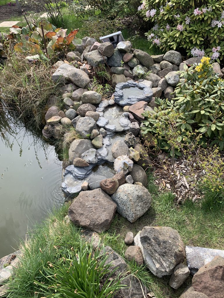 Die Schalen wurden zu Testzwecken ausgelegt