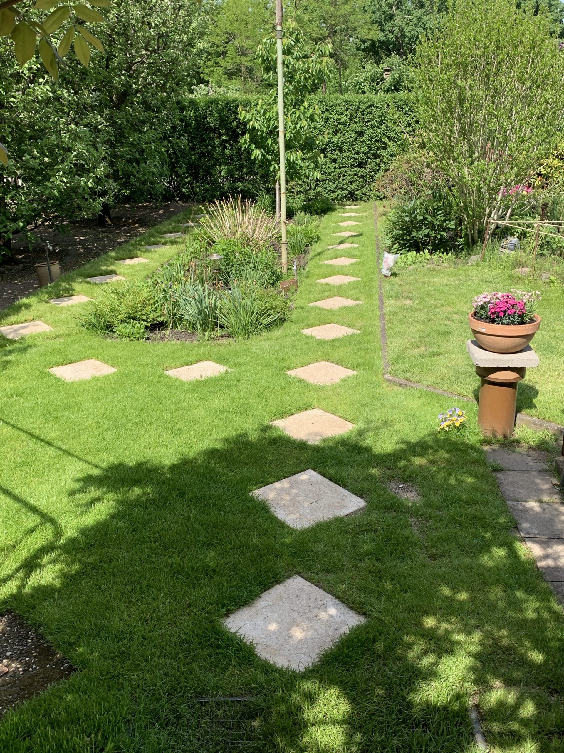 ...wachsen nun jede Menge Grashalme dicht an dicht