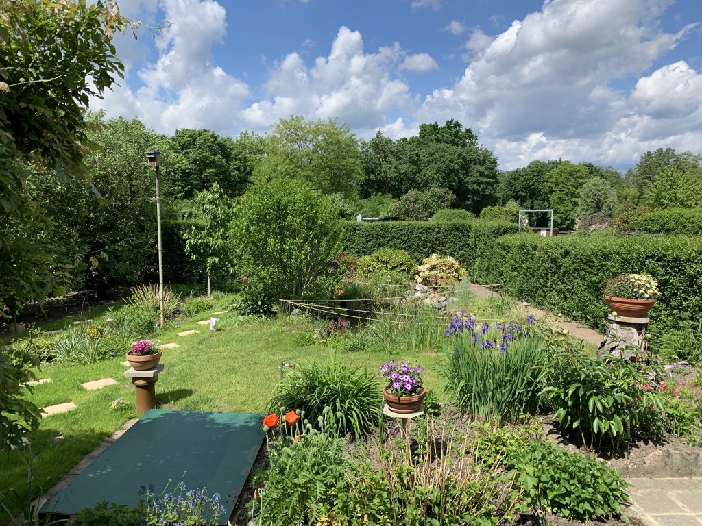 Der Garten Ende Mai...sehr viel Grün und überall blüht immer irgendetwas.