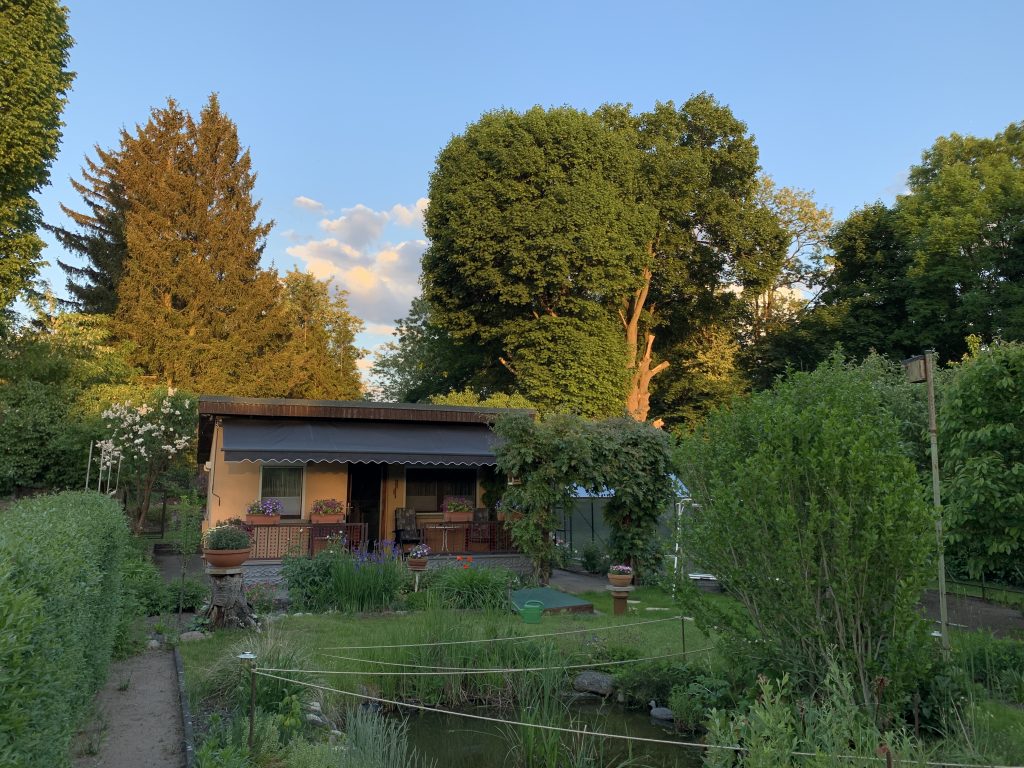 Von den Sonnenuntergängen selbst bekommen wir auf der Terrasse nichts mit. Dafür muss man dann schon ein paar Stufen emporsteigen. Diese Arbeit hat uns die Natur an diesem Abend allerdings abgenommen, indem die Bäume rötlich angestrahlt wurden (kommt hier auf diesem Bild leider nicht so rüber).