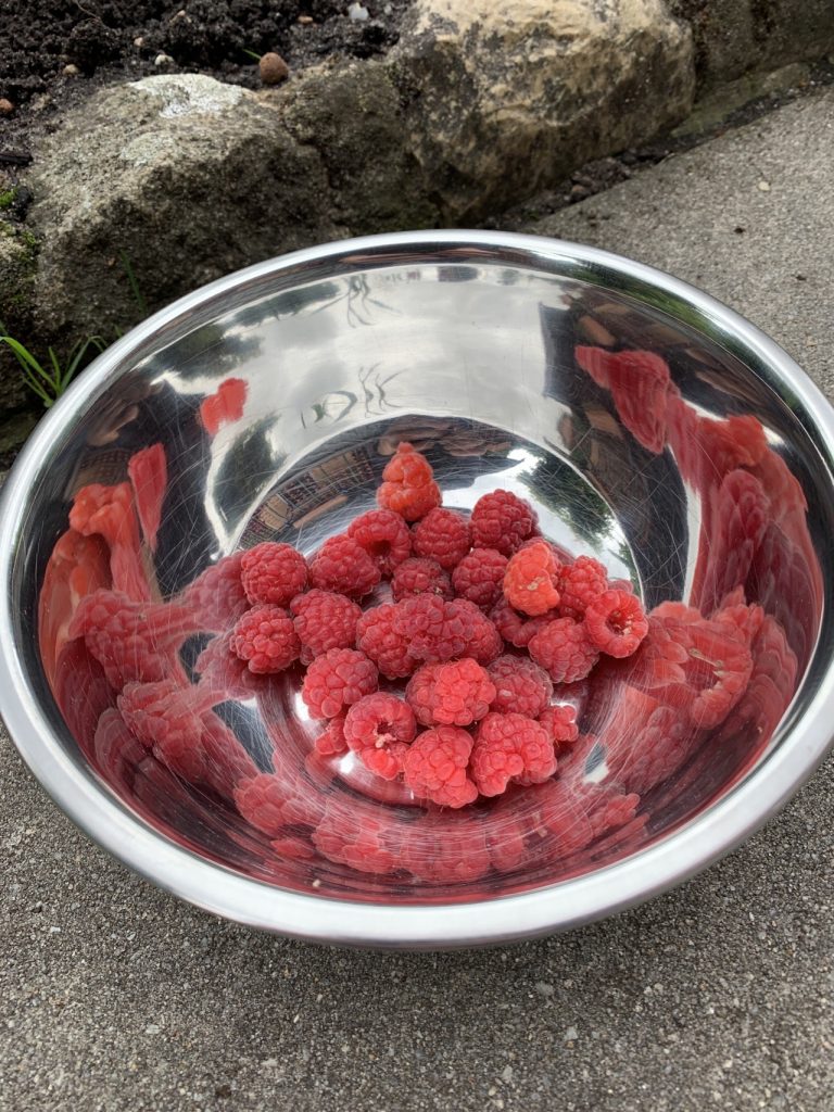 Himbeeren gab es im Anfang Juli