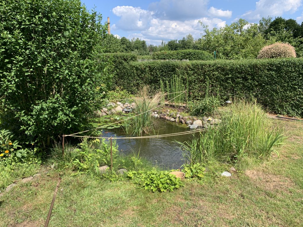 Randvolle Befüllung des Gartenteichs (Aufnahme vom 2. Juli 2022)