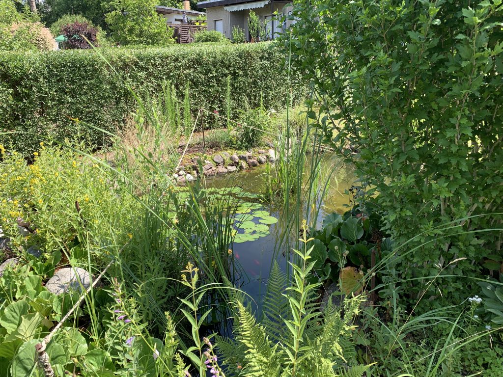 Etliche zuvor trockene Bereiche sind nun wieder von Wasser bedeckt