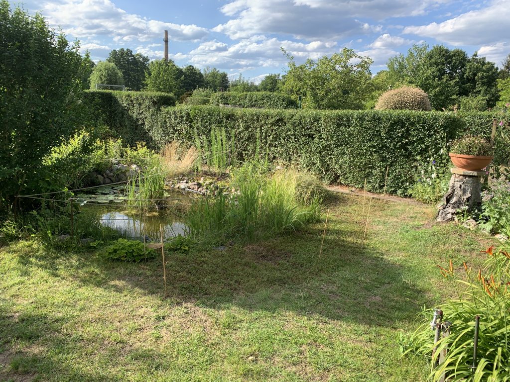Viele "verbrannte" Stellen in der Rasenfläche direkt am Teich