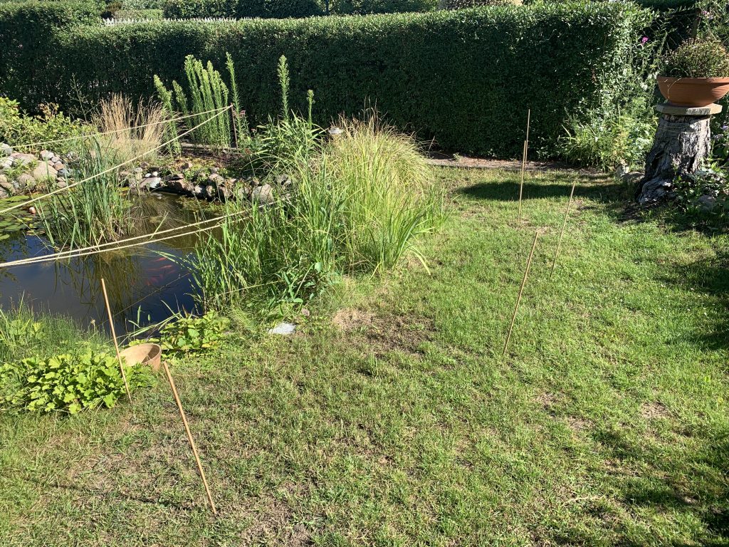 Nach wenigen Tagen gab es bereits deutlich erkennbare Ergebnisse