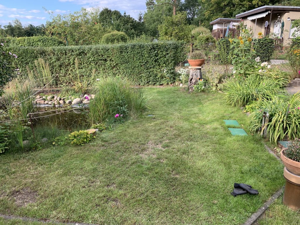 Erneut kahle Stellen im Rasen - doch dieses Mal war der Gärtner am Werk