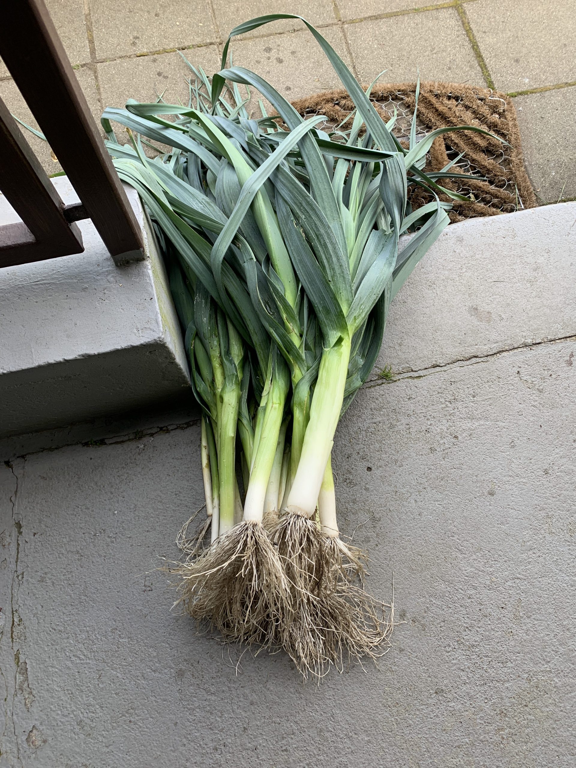 Nur das Beste für unsere liebe Gartennachbarin