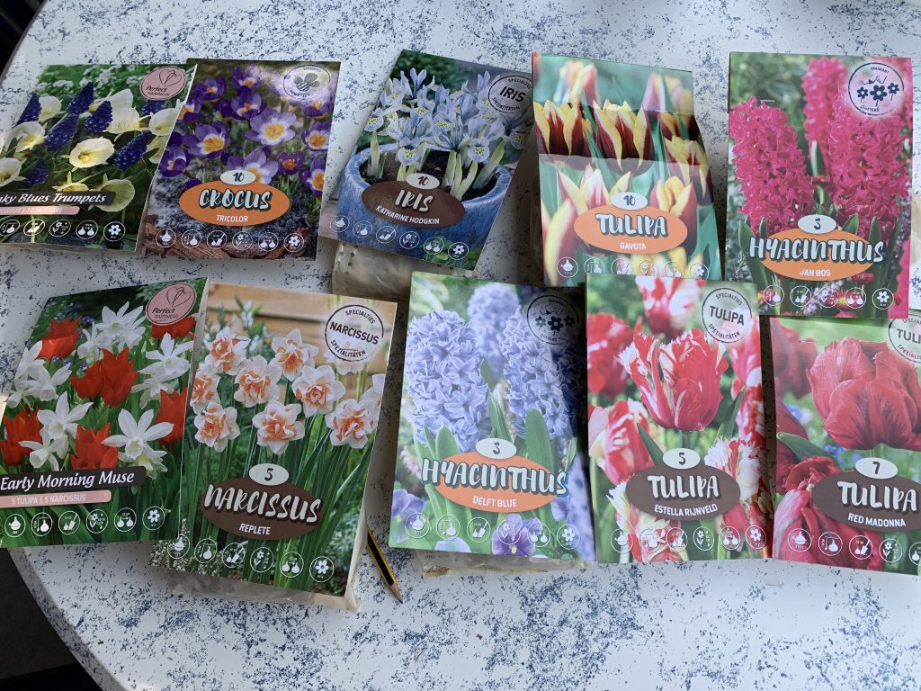 Rot, weiß, blau, orange, lila! Wenn es nach den Bildern geht, dürfte uns im Frühjahr ein wahres Farbenfeuerwerk erwarten