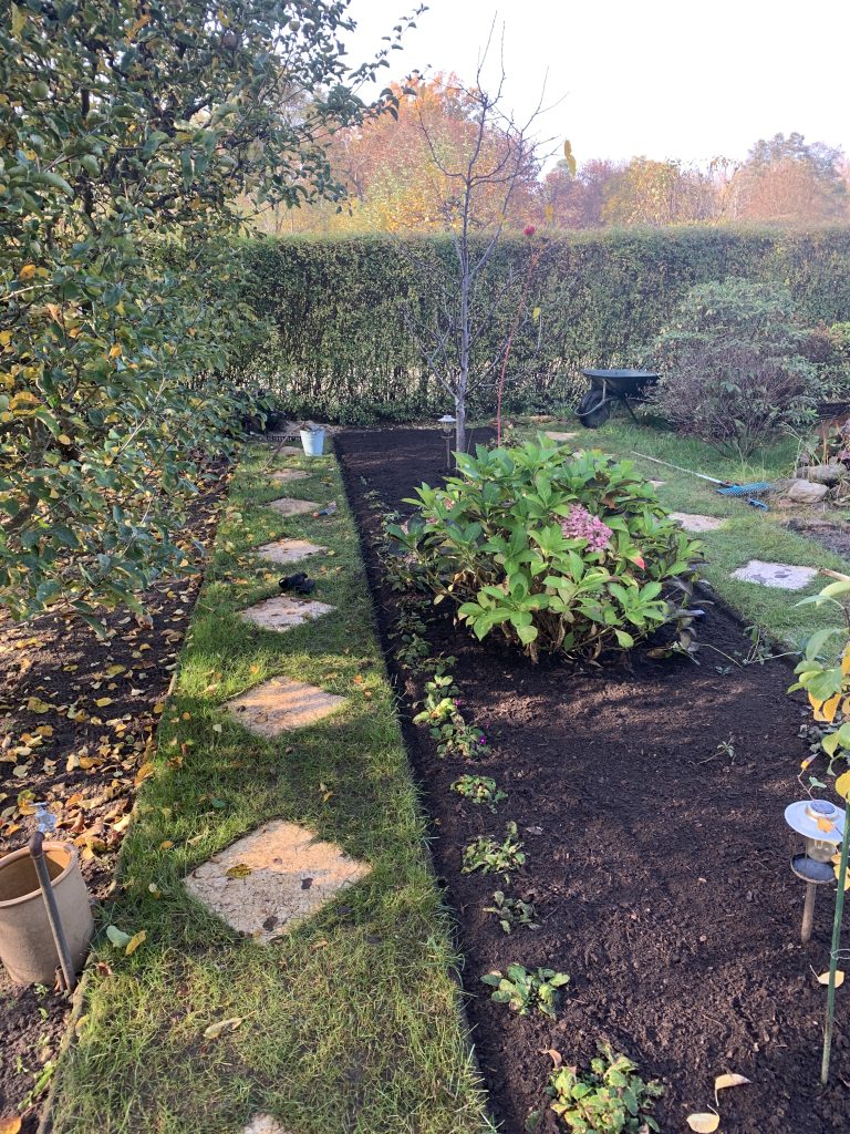 Alles hinter dem Kirschbaum wurde ordentlich umgegraben und vom Rotklee befreit