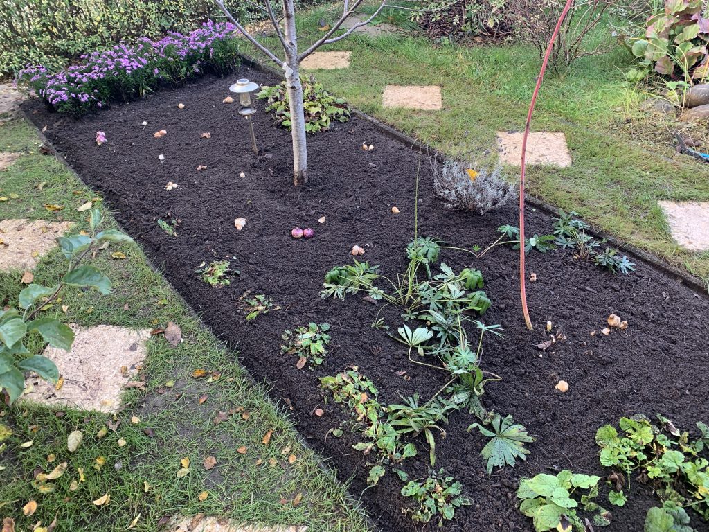 Durch die Aufräumarbeiten ist sehr viel Platz entstanden, der nun wieder gefüllt werden muss.