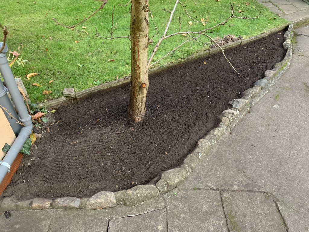 Das Stückchen Erde erweckt den Eindruck, als würde es brach liegen. 