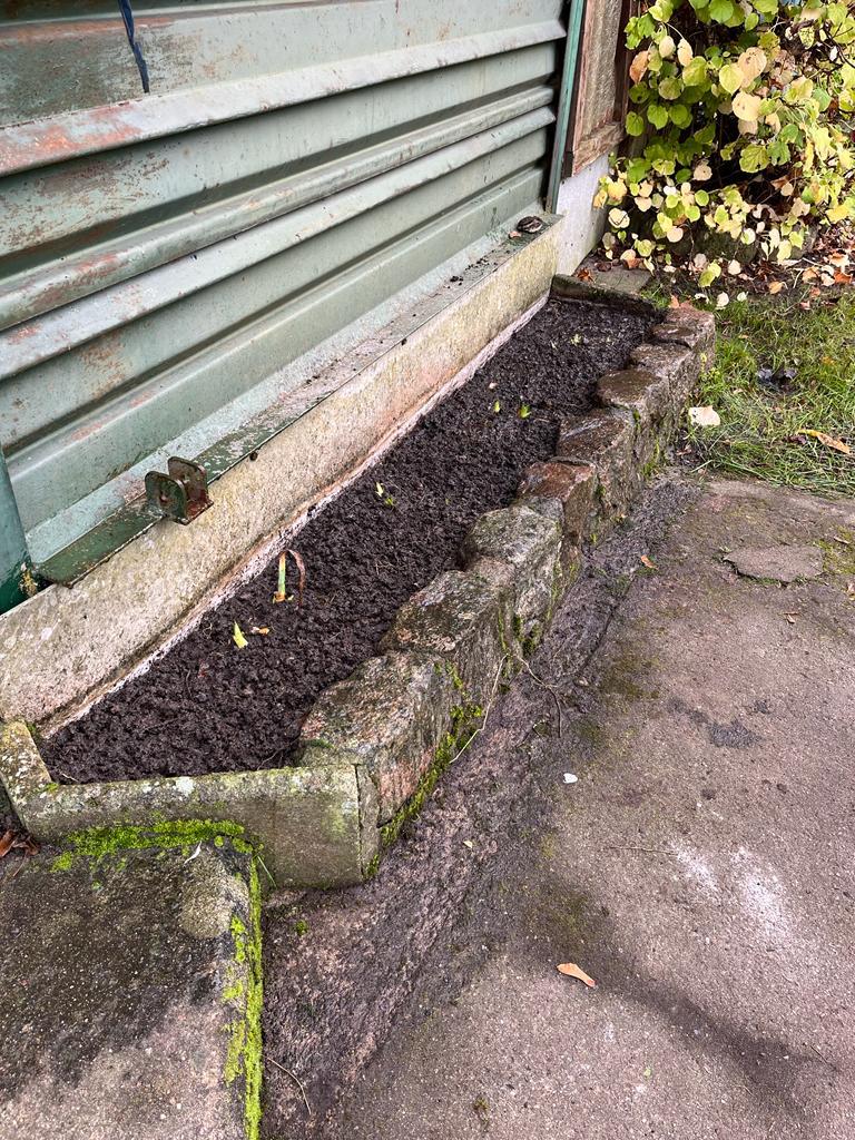 Ein neuer Platz für Erdbeeren?