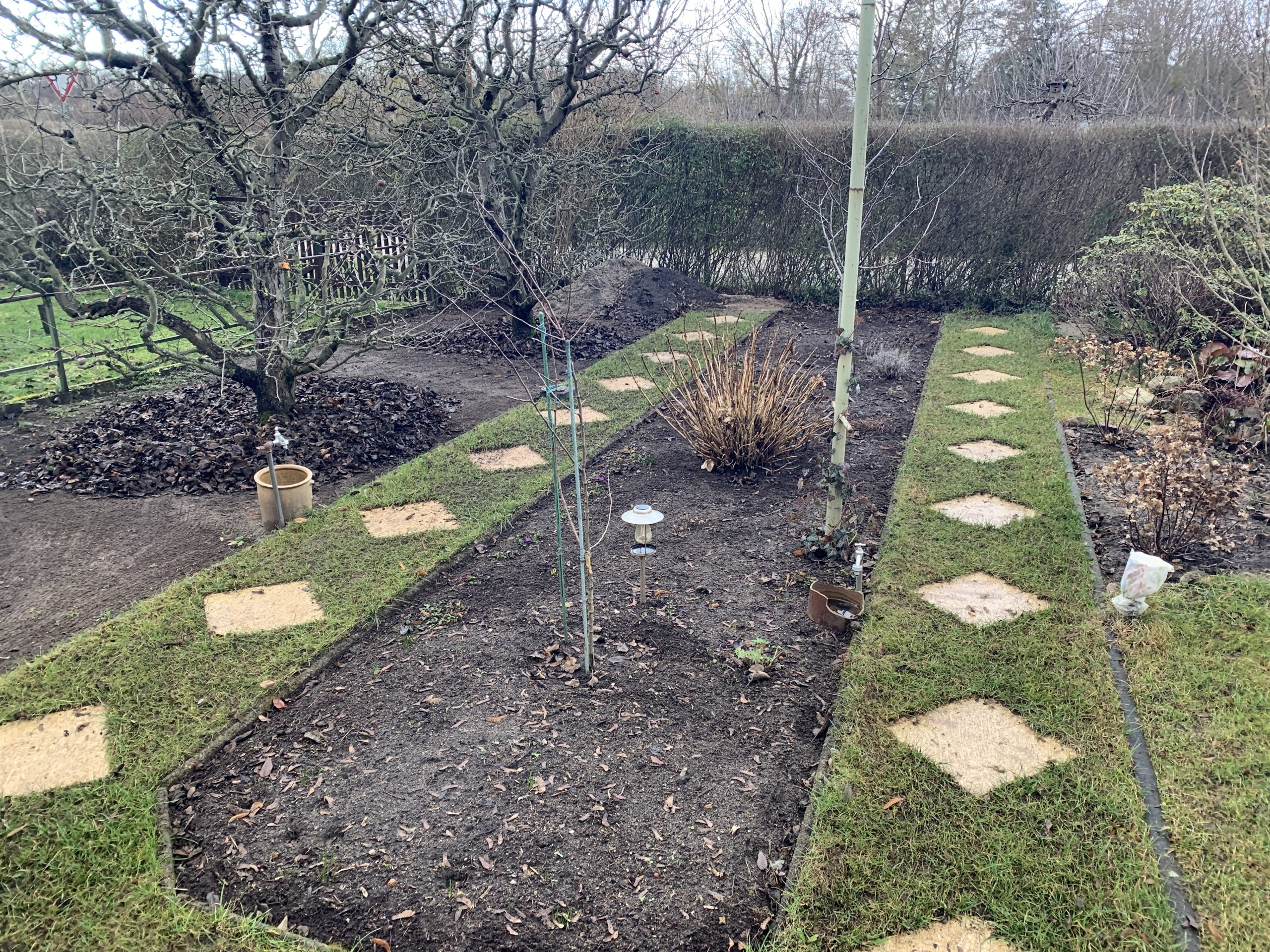 Frühblüherbeet Mitte Januar