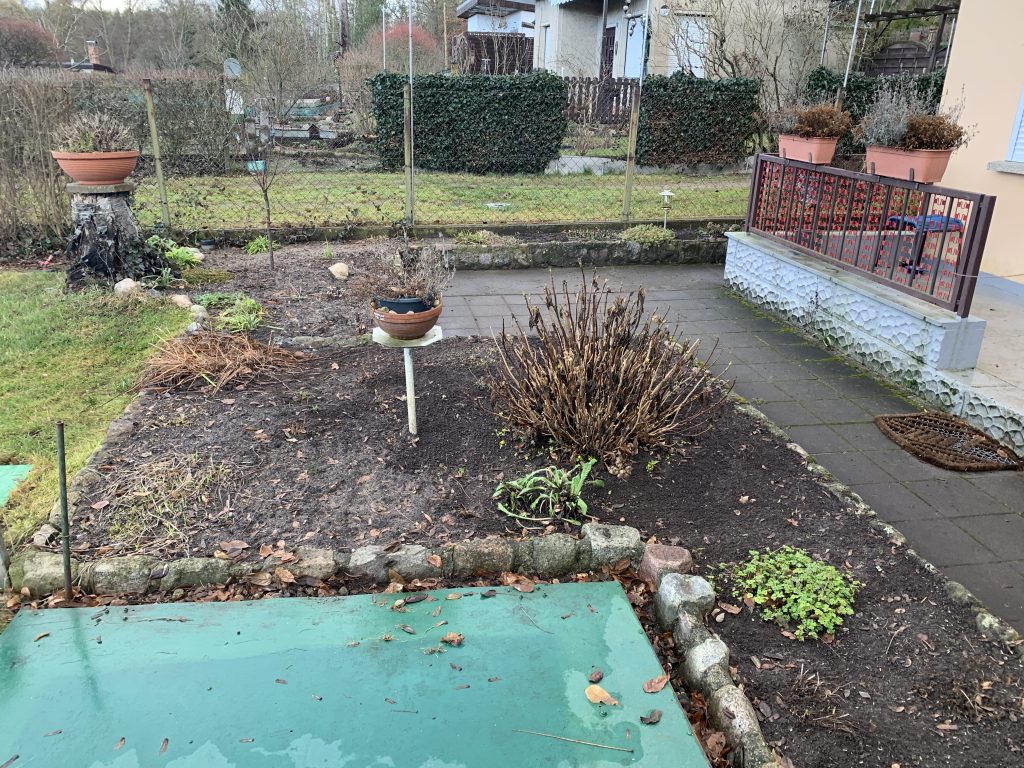 Kahles Sommerbeet, aufgenommen Mitte Januar des Jahres