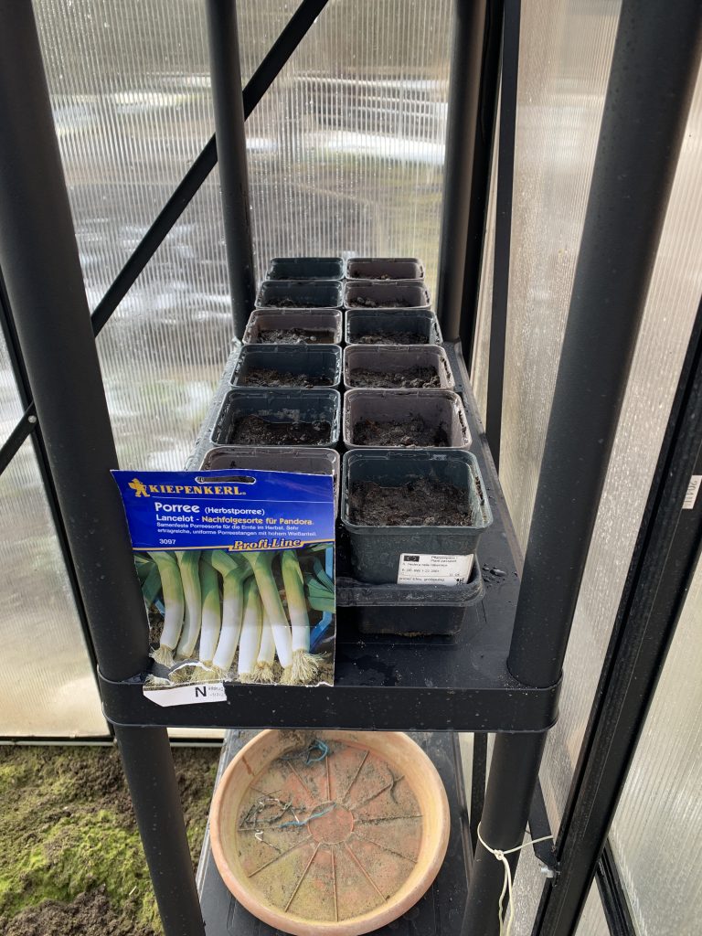 Porree-Aussaat am 11. März 2023