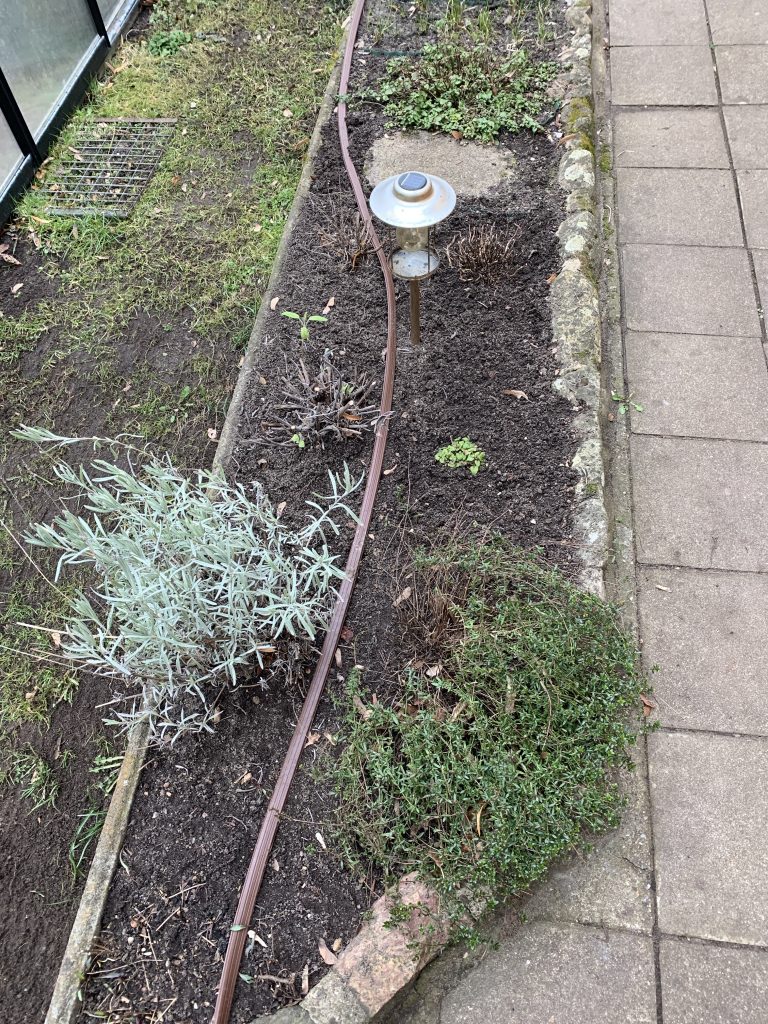 Kräuterbeet nach der Radikalkur