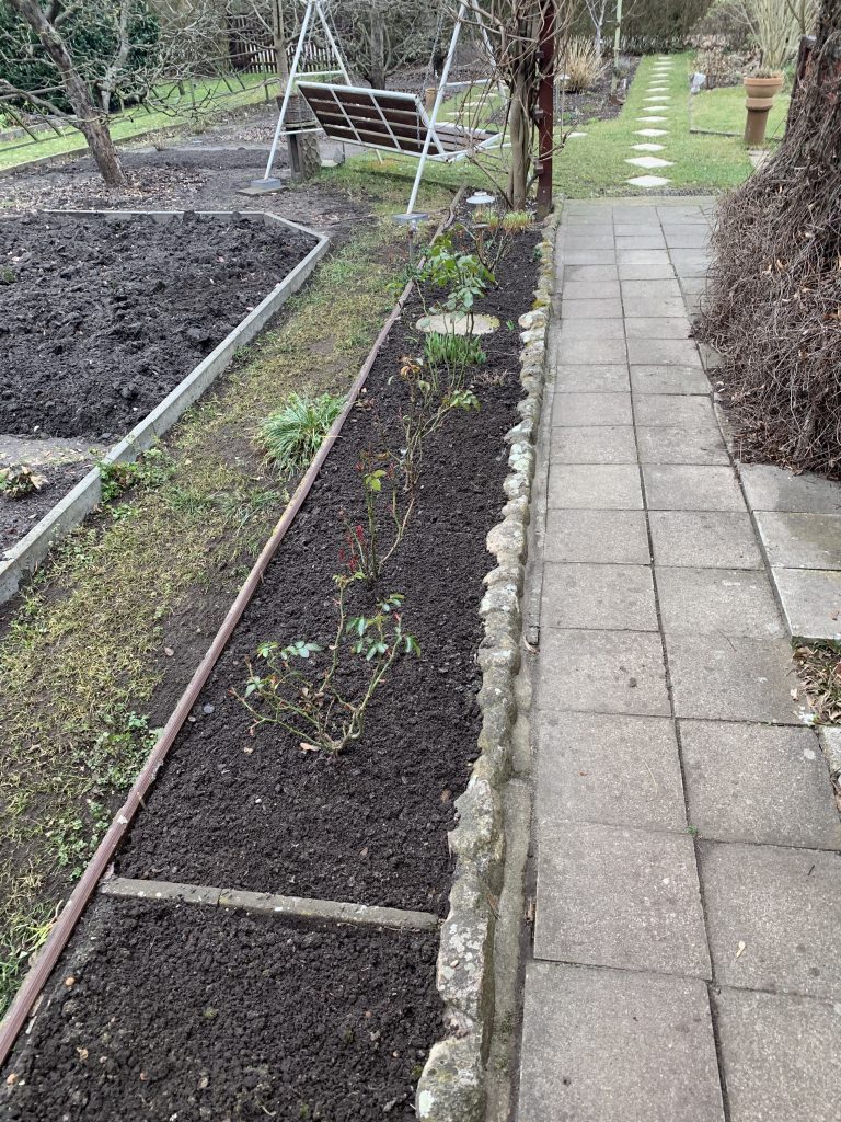 Sprühschlauch im Rosenbeet (Archivaufnahme)