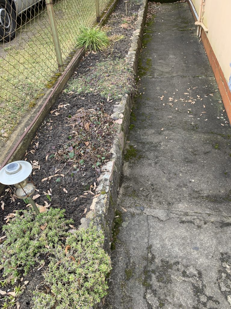 Randbeet vor der Befreiung