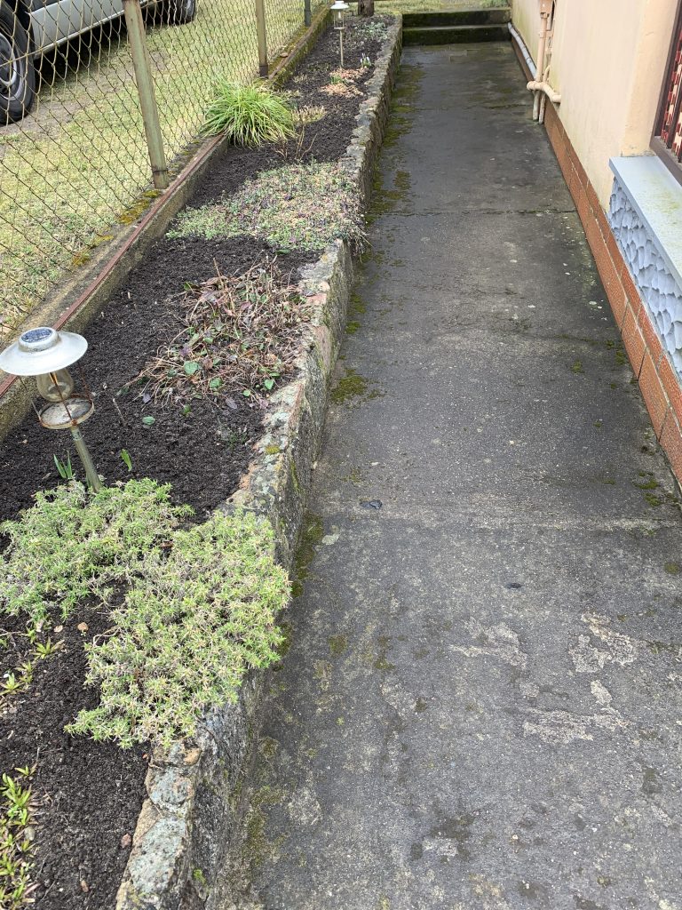 Randbeet nach der Befreiung