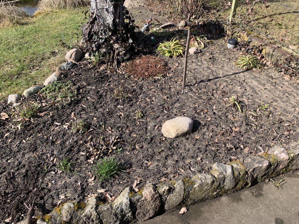 Ein "Vorher-Bild" vom Staudenbeet