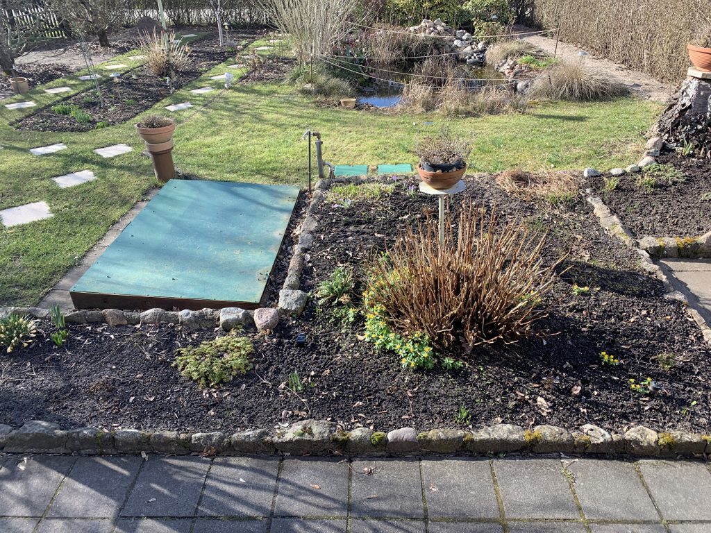 Bereich vor der Teichwiese mit Wildwuchs