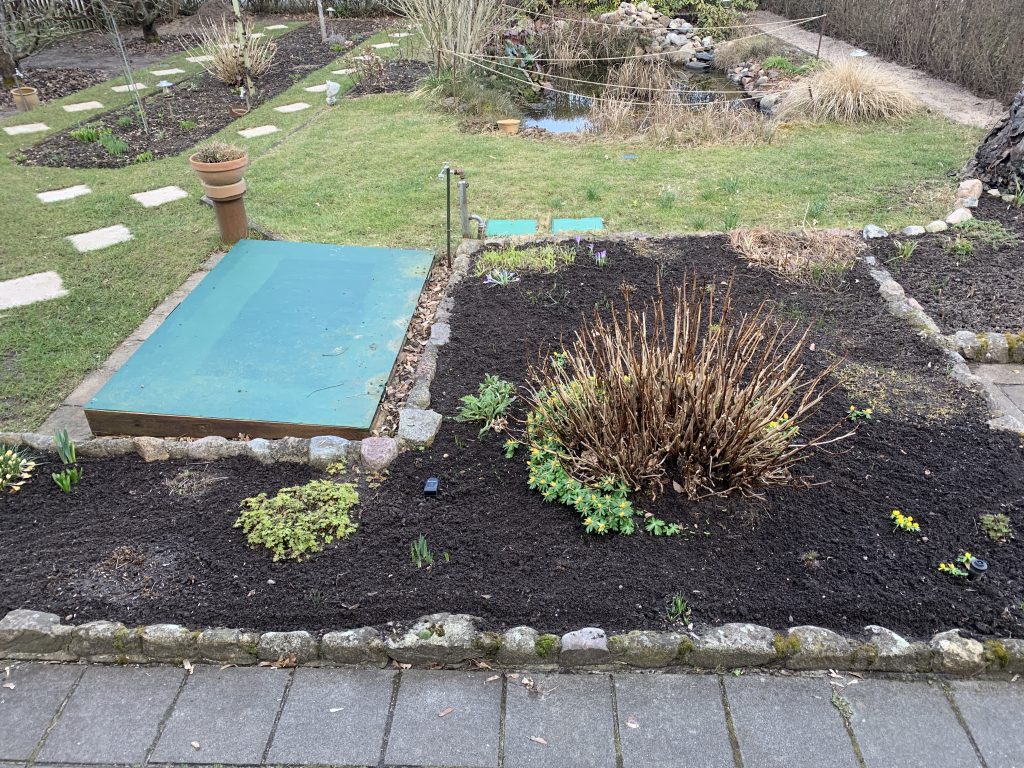 Terrassenbeet im Frühjahr