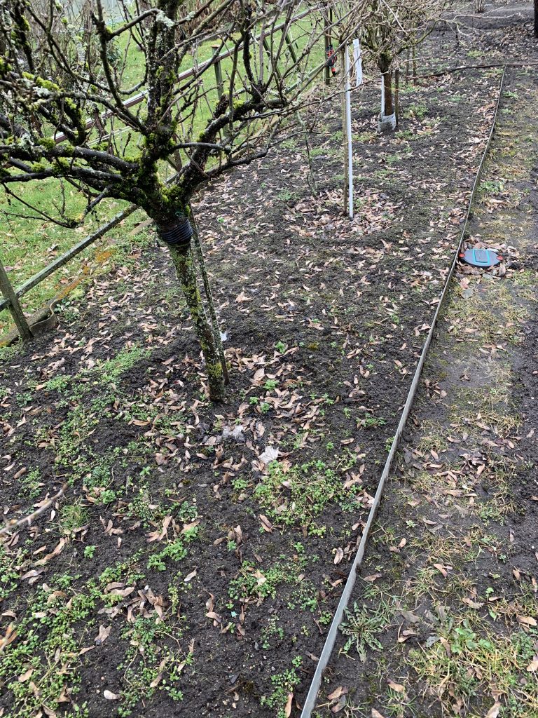 Umso weiter man sich aus dem Windschatten des Gewächshauses entfernte, desto schlimmer sah es aus