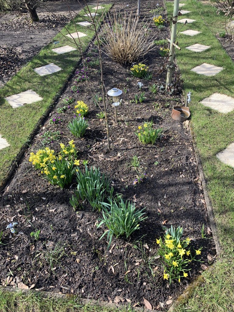 Frühblüherbeet im Zustand vor der "Nasenbeseitigung"