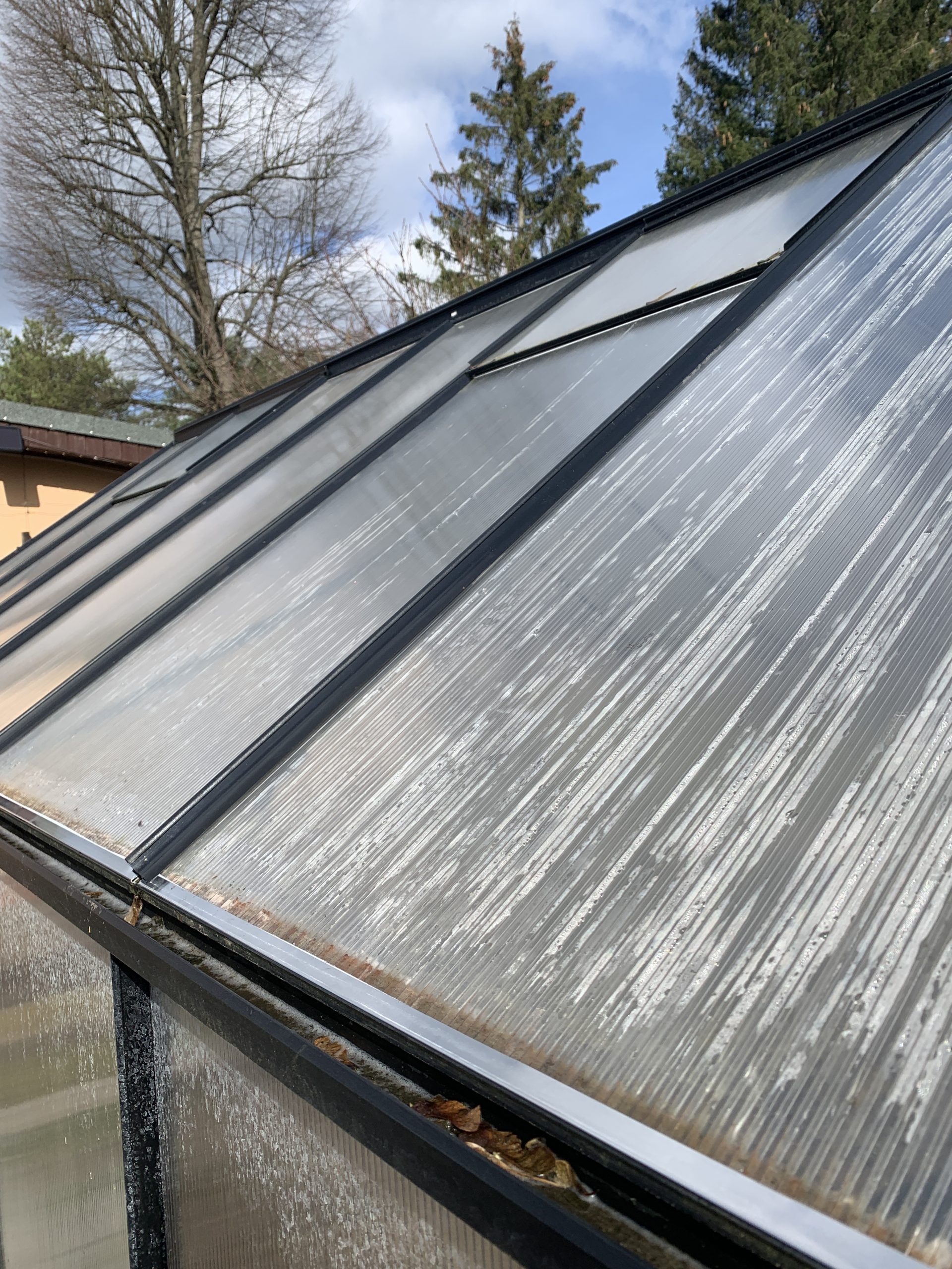 Gereinigt, gesichert und abgedichtet - das neue (alte) Gewächshausdach