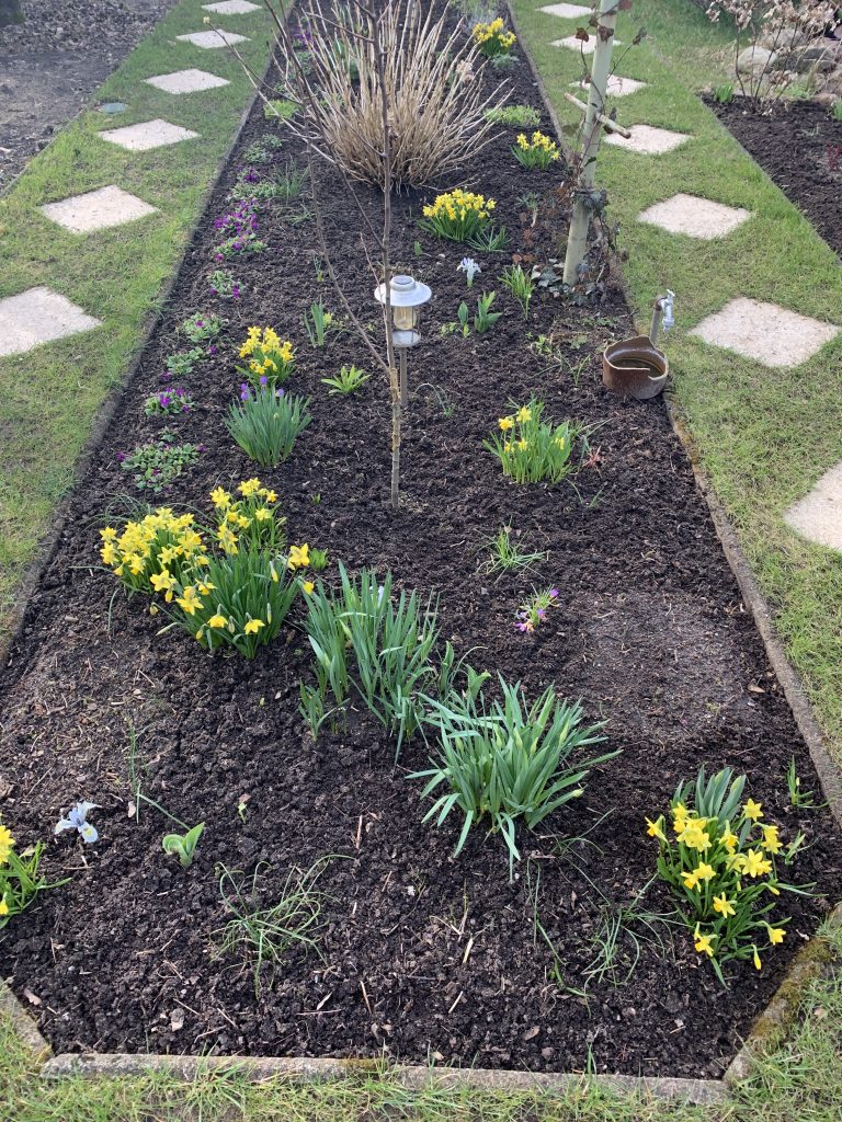 Frisch gerupftes Frühblüherbeet