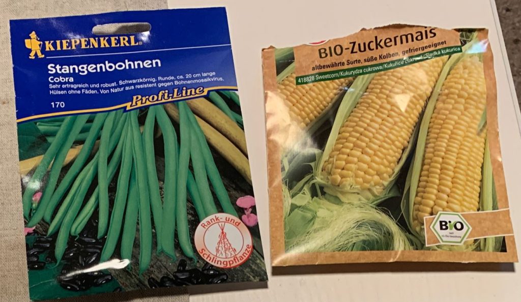 Neue - altbewährte - Mischkultur in unserem Garten