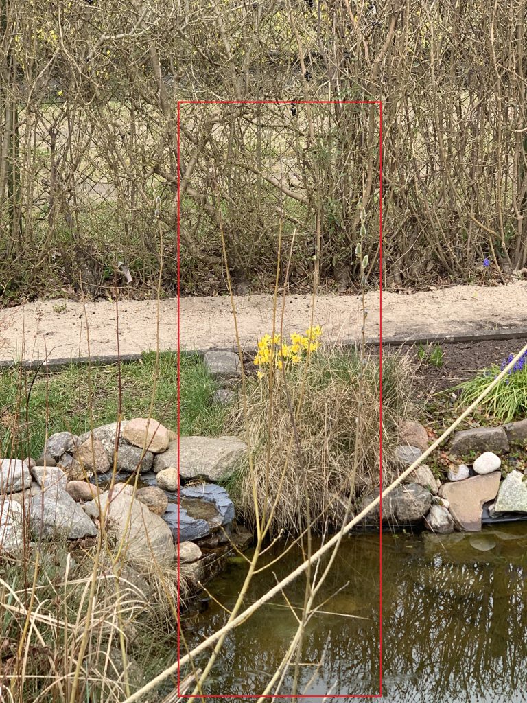 Leider auf diesem Bild sehr schwer zu erkennen. Das geübte Auge findet sie hoffentlich aber dennoch im rot eingerahmten Bereich