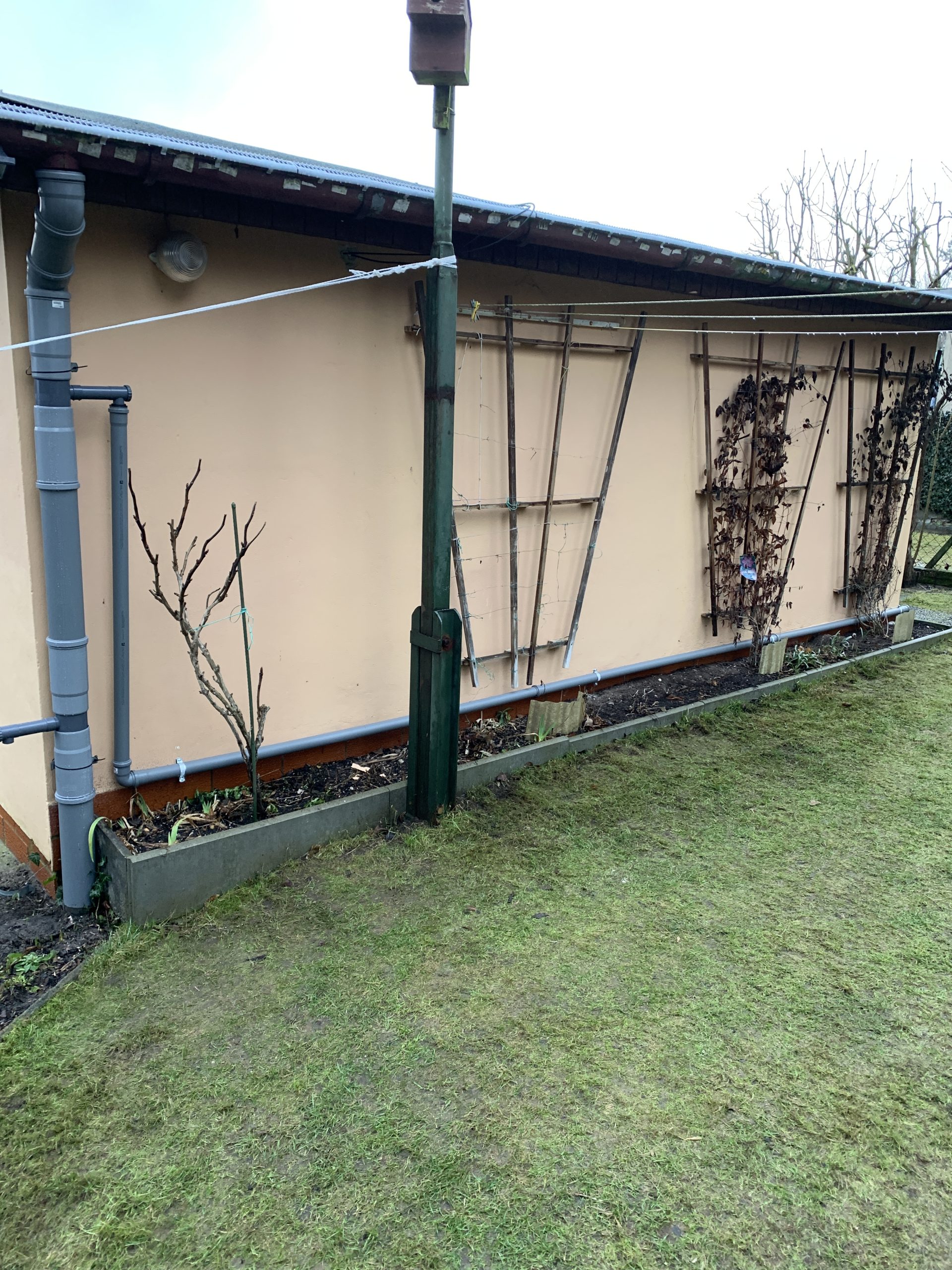 Bereich hinter dem Bungalow vor der Umgestaltung