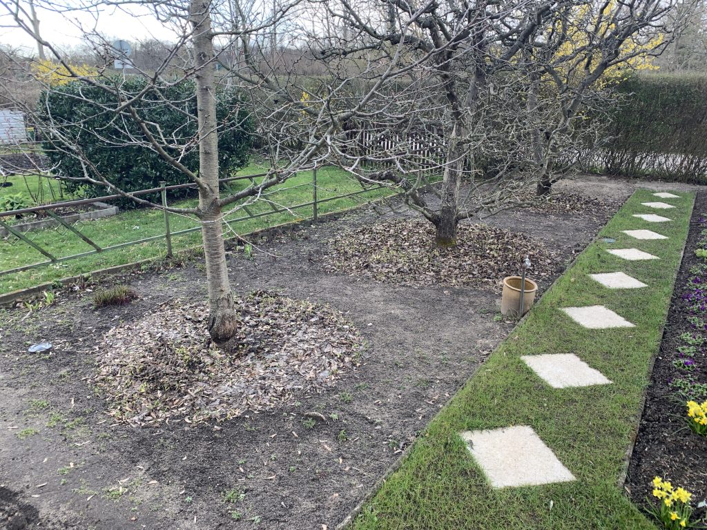 Ahornnasen, Unkraut, alles plattgetrampelt - gepflegt ist definitiv anders