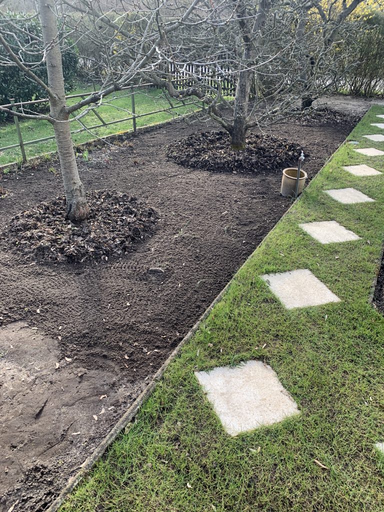 Obstbaumbereich, nachdem Gartenkralle und Harke zum Einsatz kamen