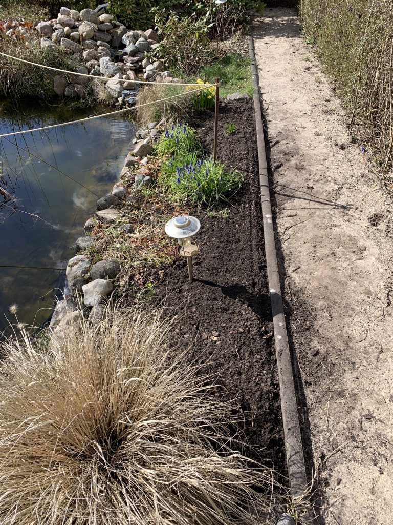 Vom Unkraut befreiter Teichrand